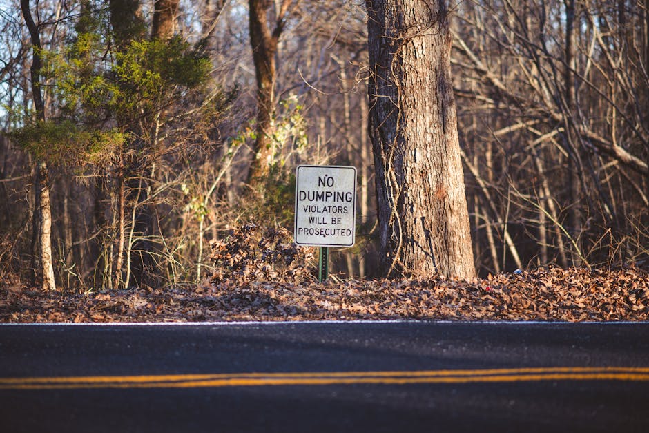 A roadside scene featuring a white rectangular sign with black text that reads 'No Dumping, Violators Will Be Prosecuted,' positioned near the base of a tall tree with textured bark. The sign is mounted on a green metal post partially obscured by fallen leaves and small bushes at the edge of a paved road marked with double yellow lines. The background consists of a wooded area with leafless trees and undergrowth, illuminated by natural daylight, suggesting a quiet residential or rural environment. The image reflects aspects of property management and waste regulations that can be relevant during house removals or relocation services, as part of ensuring proper disposal and clearance during moves. Man with Van Hampton may handle clearance and waste removal as part of their comprehensive moving and furniture transport services.